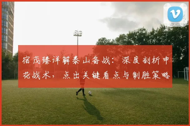 宿茂臻详解泰山备战:深度剖析申花战术,点出关键看点与制胜策略